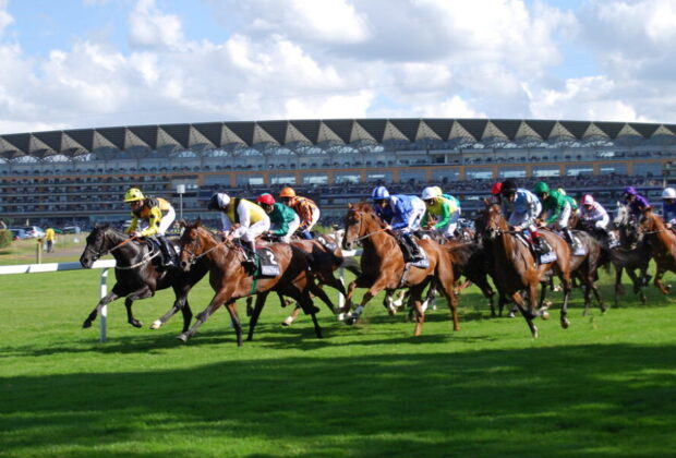 Ascot race events