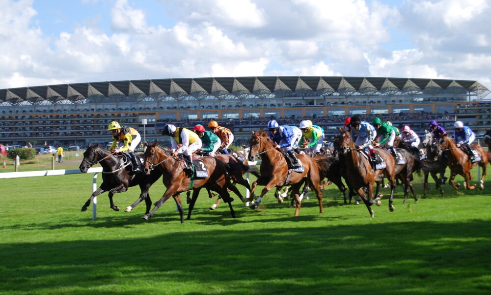 Ascot race events
